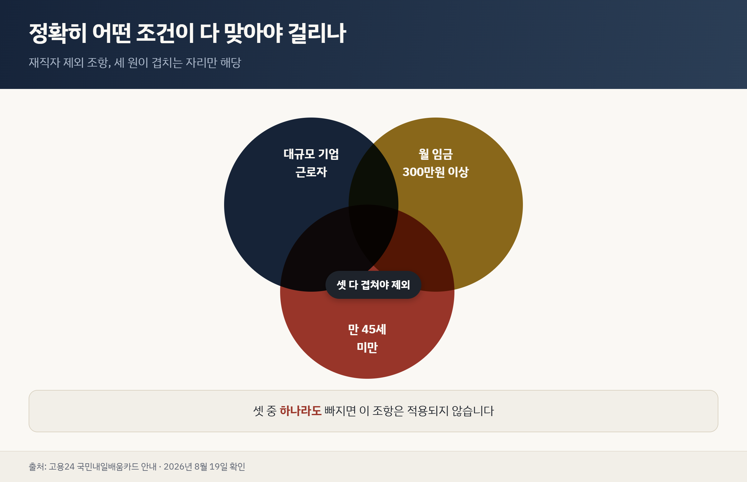 대규모 기업·월급 300만원 이상·45세 미만 세 조건이 모두 겹칠 때만 제외되는 벤다이어그램